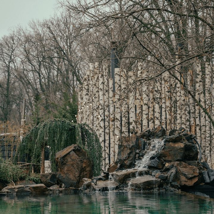 Баня Forest